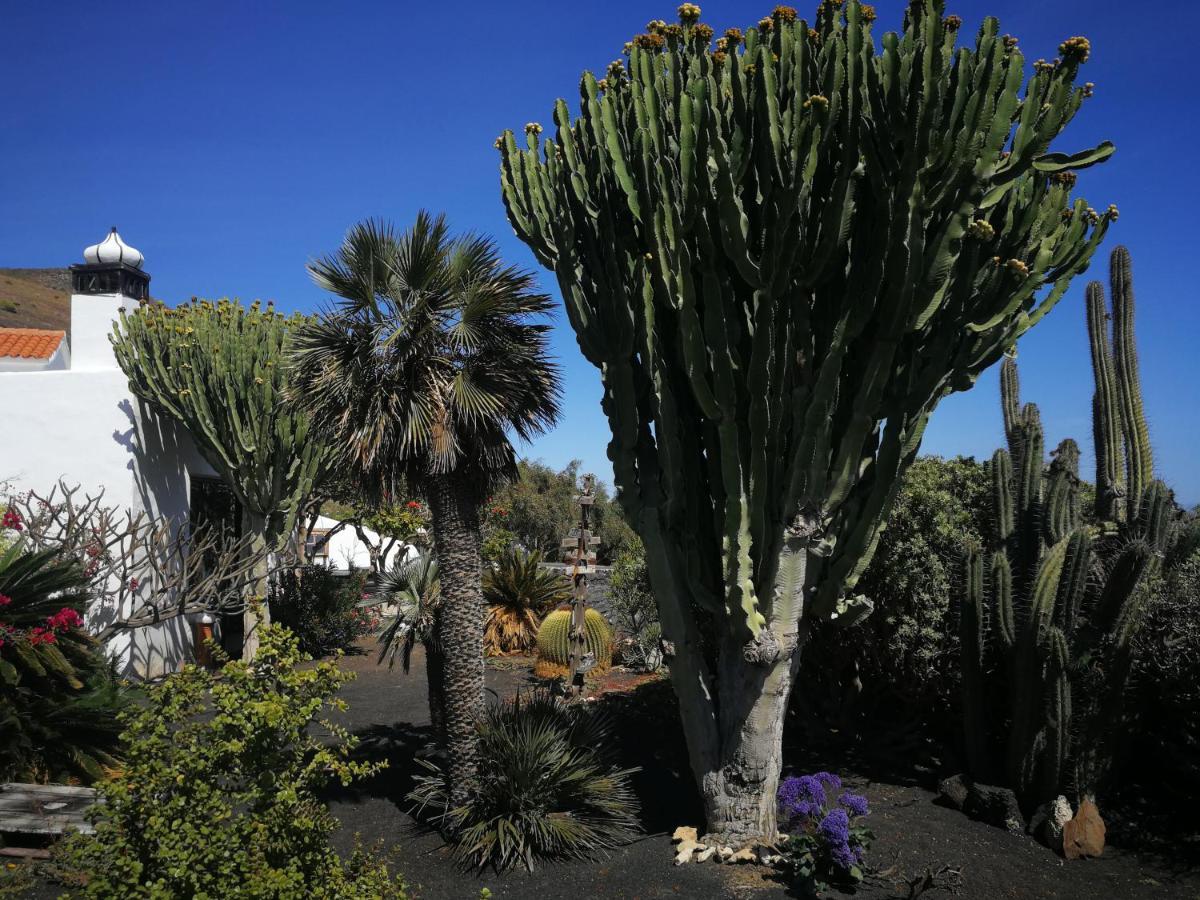 Casa Angel Villa Mácher Eksteriør bilde